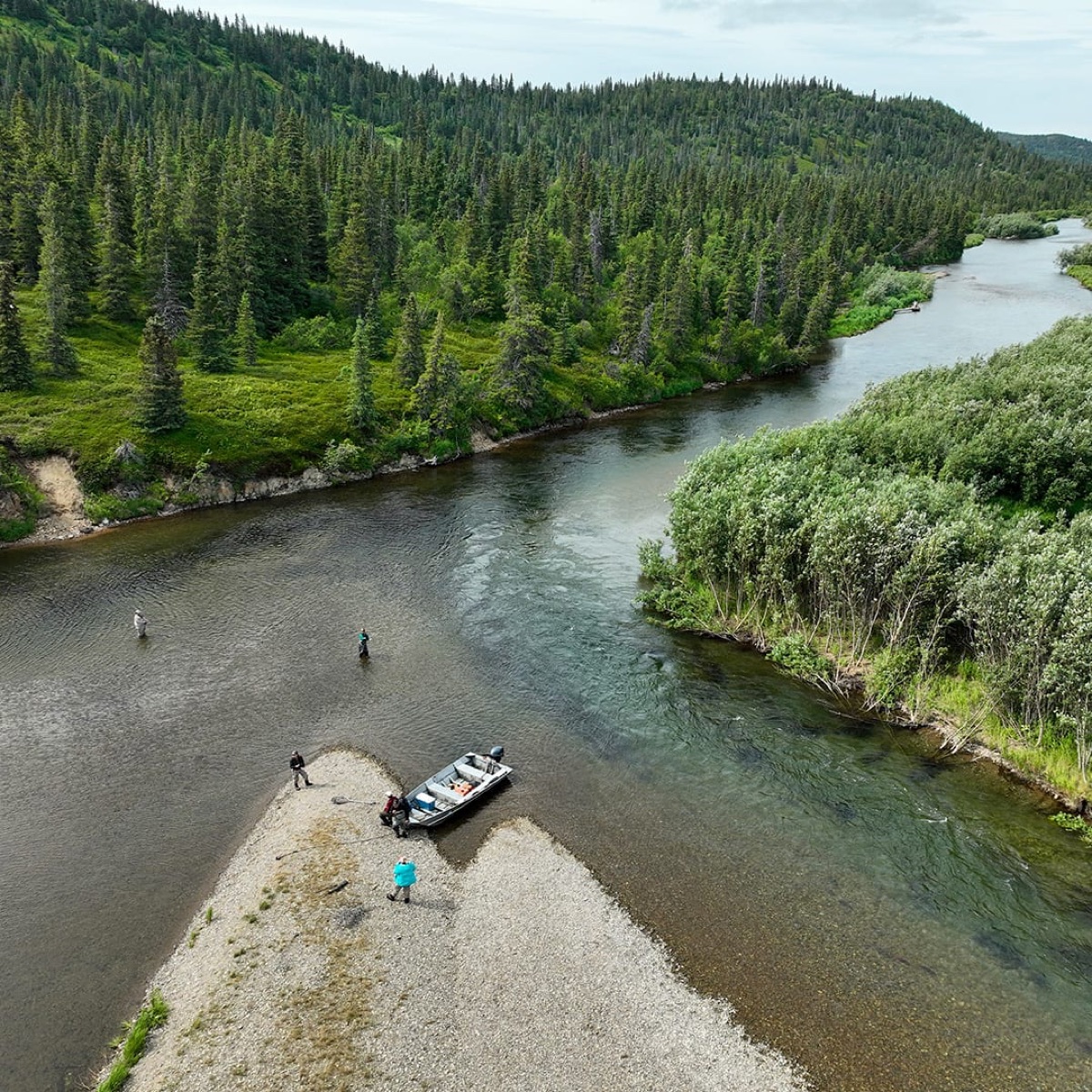 The group fly fishing a salmon river