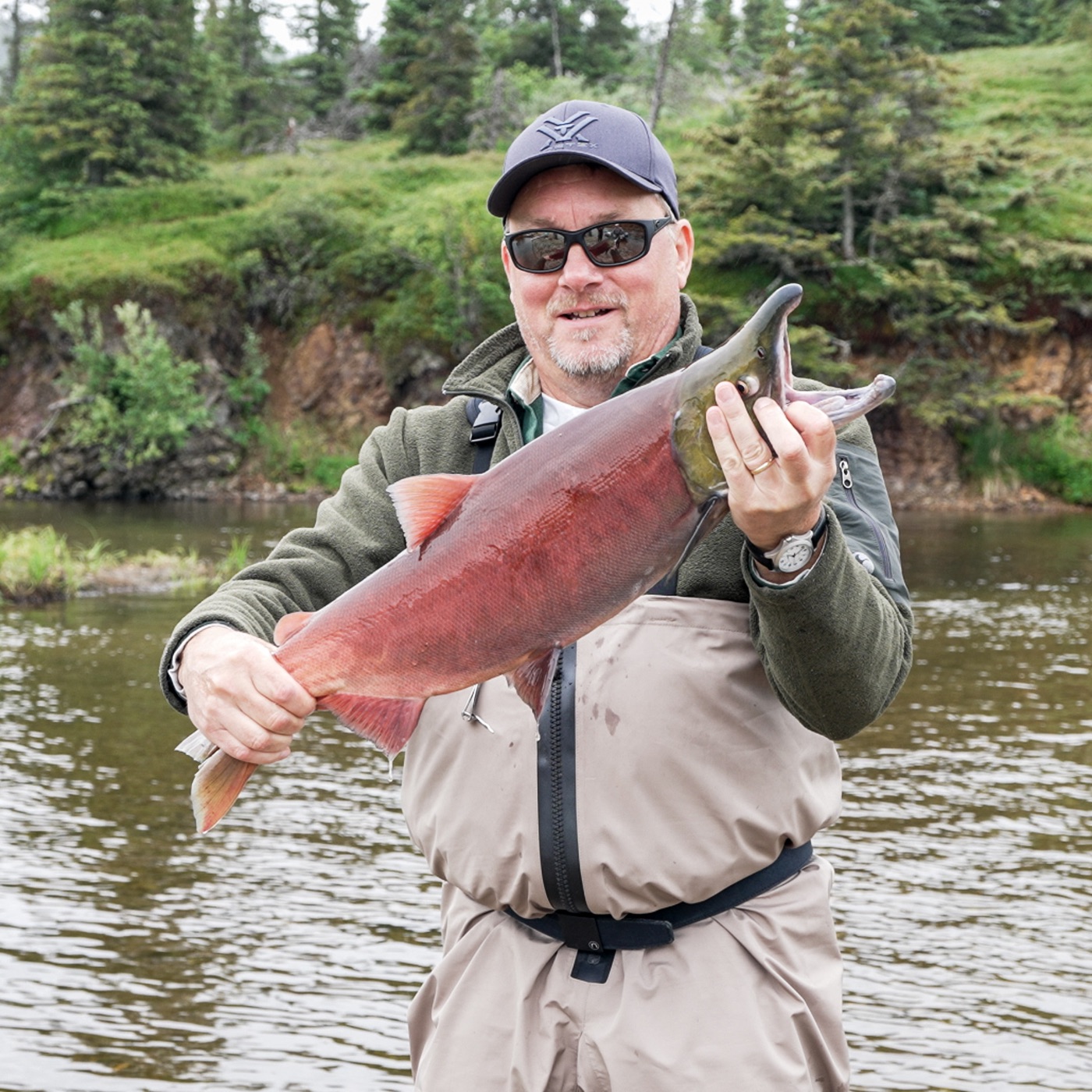 A sockeye cradled before release